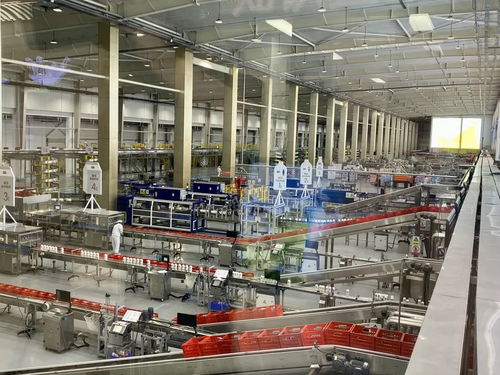 南京老字號護航2025世界田聯室內錦標賽 數智化實力鑄就舌尖上的 中國品質